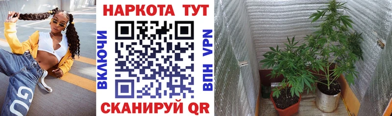 Магазин наркотиков Ирбит COCAIN  Канабис  Меф  Alpha PVP  АМФ  Гашиш 
