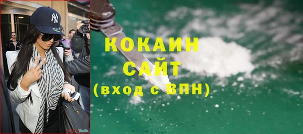 хмурый Семилуки