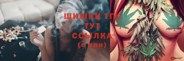 хмурый Верхний Тагил